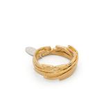 Leaf ring 1