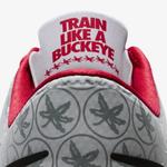 Кроссовки Nike Free Trainer 5.0 V6 'Ohio State Buckeyes' 1