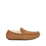 Слиперы Ascot 1