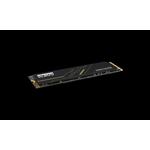 Klevv CRAS C925G 1TB PCIe 4.0 x4 NVMe M.2 2280 SSD 6
