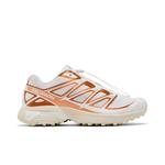 Кроссовки Salomon XT-Pathway 'Metallic - White Copper' 1