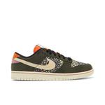 Кроссовки Nike Dunk Low SE 'Gone Fishing - Rainbow Trout' 1