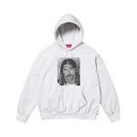Худи Supreme x Dash Snow Hooded Sweatshirt 'Ash Grey' 1
