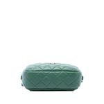 2019 Small CC Quilted Lambskin Camera Case crossbody bag 4