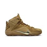 Кроссовки Nike LeBron 12 EXT 'Wheat' 1