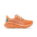 Кроссовки ASICS Novablast 5 'Tokyo' 1