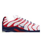 Кроссовки Sneakers Nike Air Max Plus 'США' 2