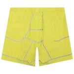 Шорты Pleasures Painless 3M Active Short 'Green' 2