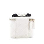 Стеганая мини-сумка через плечо Camellia Bow Vanity Case с цепочкой 2