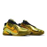 Кроссовки Nike LeBron 22 'Immortalized Pack' 9