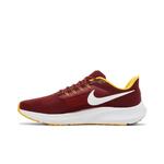 Кроссовки Nike NFL x Air Zoom Pegasus 39 'Washington Commanders' 3