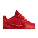 Кроссовки Nike LeBron 21 'James Gang' 2