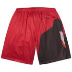 Шорты Supreme Ghostface Mesh Short 'Red' 2