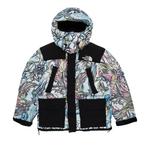 Парки Supreme x The North Face 700-Fill Down Parka 'Multicolor Dragon' 1