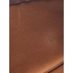 Сумка на плечо Takashi Murakami Monogram Panda Pochette Accessoires (2004 год) 2