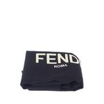 2010-2026 Grained Calfskin Roma belt bag 2