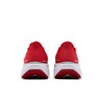 Кроссовки Nike Air Zoom Pegasus 41 'Ohio State' 6