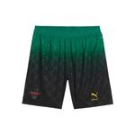 Шорты Authentic AC MILAN из коллаборации с OFF-WHITE 1