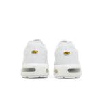Кроссовки Nike Air Max Plus GS 'White Metallic Silver' 6
