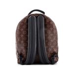 Рюкзак Monogram Canvas Palm Springs MM (2018 год) 2