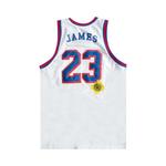 Джерси Nike LeBron x Tune Squad DNA Jersey 'White/Cool Grey' 2