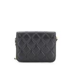 Мини-сумка через плечо Pearl Crush Flap Clutch with Chain Quilted Lambskin 2