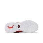 Кроссовки Mimi Plange x Nike LeBron 20 Premium EP 'Ceremony' 4