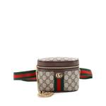 Маленькая поясная сумка Ophidia Chain GG Coated Canvas 1