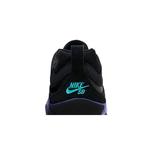 Кроссовки Nike Air Max Ishod Wair SB 'Black Grape' 7