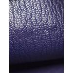 2019 Chevre Mysore Clic 16 Wallet On Strap crossbody bag 6