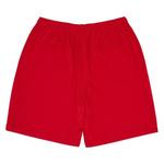 Шорты Supreme x Champion Mesh Short 'Red' 2