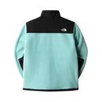 Верхняя одежда The North Face Denali Jacket 'Wasabi' 2