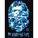 Футболка ABC Camo с логотипом 2