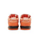 Кроссовки Concepts x Nike Dunk Low SB 'Orange Lobster' Special Box 6