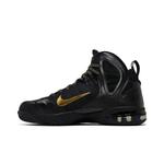 Кроссовки Nike Lebron 9 P.S. Elite 'Away' 3
