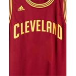 Майка Cleveland Cavaliers 2