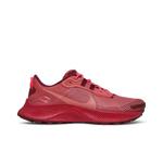 Кроссовки Nike Wmns Pegasus Trail 3 'Gypsy Rose' 1