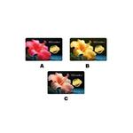 5G Gold Collection 999.9/24K Bunga Raya Series Золотой слиток (1г) 3