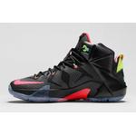 Кроссовки Nike LeBron 12 'Data' 7