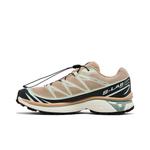 Кроссовки Salomon XT-6 'Oxford Tan' 3