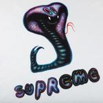Футболки Supreme Snake Tee 'White' 2