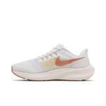Кроссовки Nike Wmns Air Zoom Pegasus 39 'Whisper Madder Root' 3