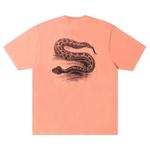 Топы Stussy Serpent Tee Pigment Dyed 'Sherbert' 2