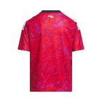 Джерси Adidas Costa Rica 26 Home Jersey 'Колледж красный' 2