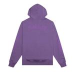 Топы Pleasures Scrawl Hoodie 'Баклажановый' 2