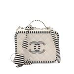2018-2019 CC Filigree Vanity two-way handbag 1
