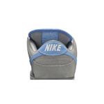 Кроссовки Nike Dunk Low Pro SB «Iron Low» 7