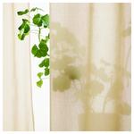 ROSENROBINIA вуалевые шторы, 1 пара 3
