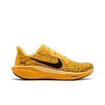 Кроссовки Nike Air Zoom Pegasus 41 LV8 'Modern Mayfly Pack' 1