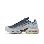 Кроссовки Nike Air Max Plus 'Light Smoke Grey' 3
